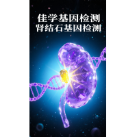 【Ebpay基因检测】钙磷<font color='red'>代谢</font>异常引起的肾结石及其基因突变与发病机理