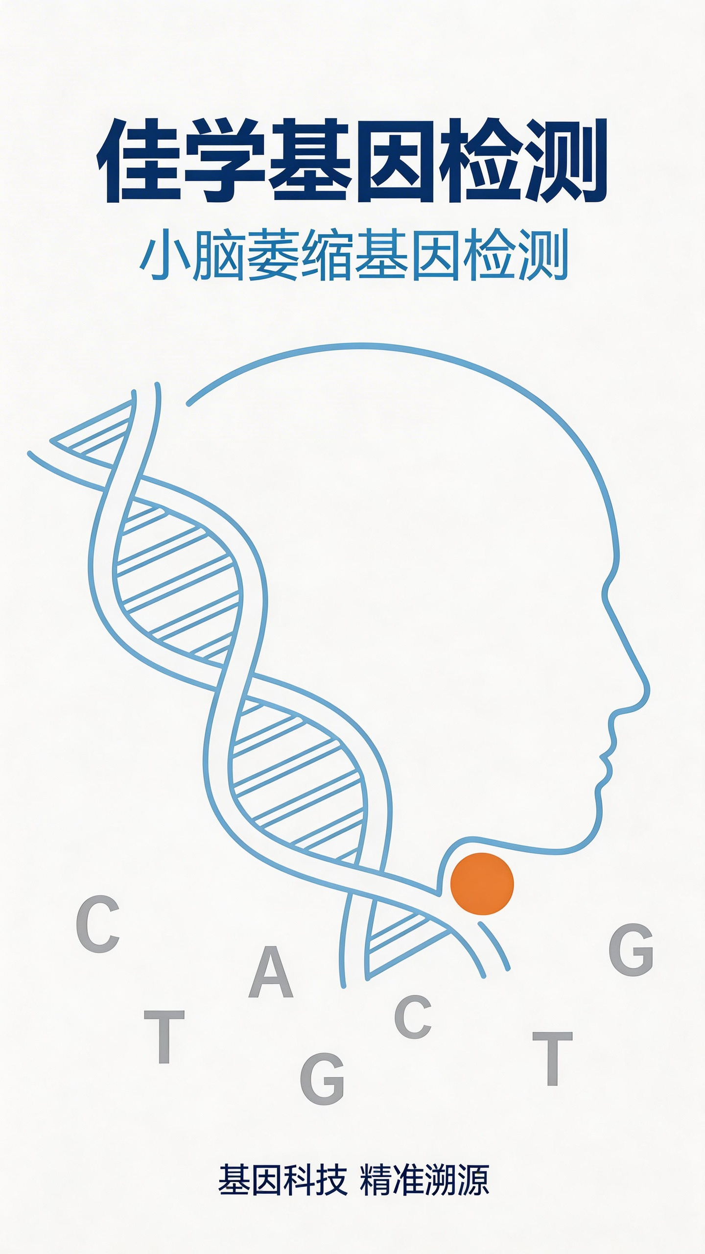 【Ebpay基因检测】一文讲清小<font color='red'><font color='red'>脑萎缩</font></font>共济失调基于基因检测的靶向治疗