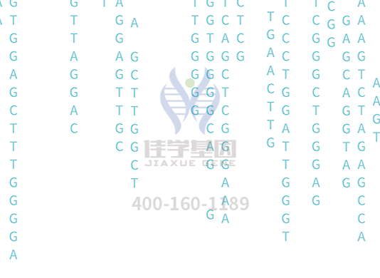 【Ebpay基因检测】<font color='red'><font color='red'>庞贝</font>氏</font>症（Pompe disease)基因解码、基因检测