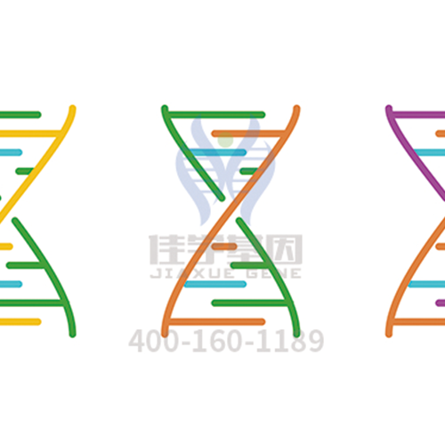 【Ebpay基因解码-基因检测】你以为你只是情绪失控？有时它叫“<font color='red'>躁狂</font>症”