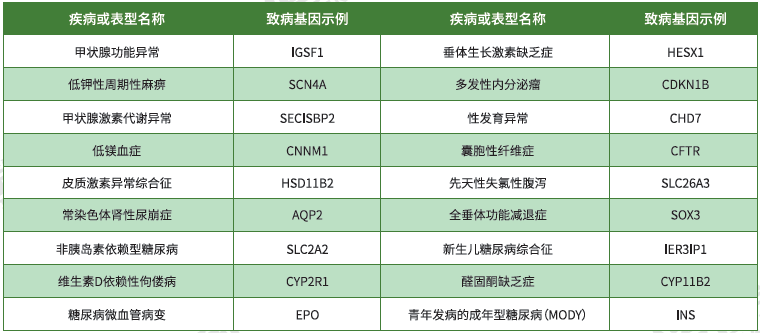 【Ebpay基因检测】<font color='red'><font color='red'>内分泌</font>及<font color='red'>代谢</font><font color='red'>系统</font><font color='red'>疾病</font></font>致病基因鉴定基因解码