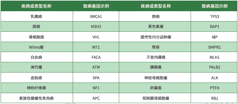 【Ebpay基因检测】<font color='red'><font color='red'>遗传性</font><font color='red'>肿瘤</font></font>致病基因鉴定基因解码
